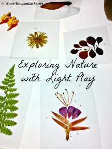 explore nature with light