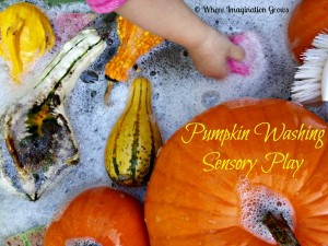 Pumpkin washing sensory bin