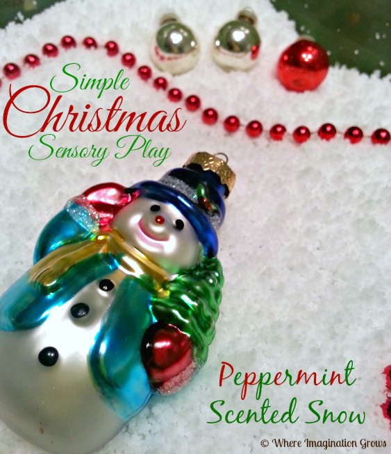 Kids Will Love These Fun Christmas Sensory Bin Ideas! 