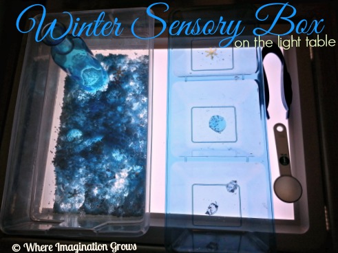 Teaching My Blessings: Winter Sensory Bin