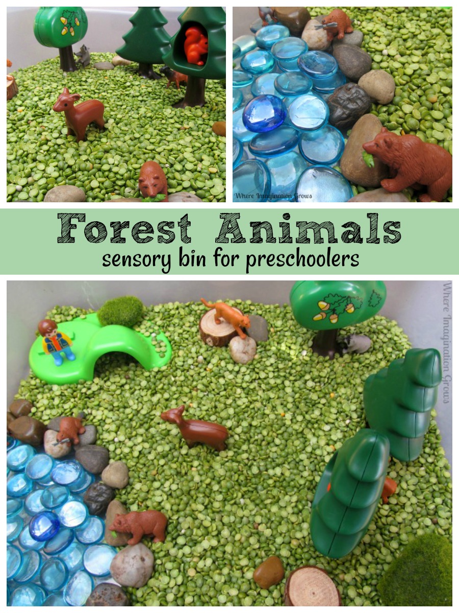 Forest Animals Sensory Bin - Where Imagination Grows