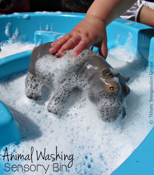 Animal Washing Sensory Play for Toddlers - Where Imagination Grows