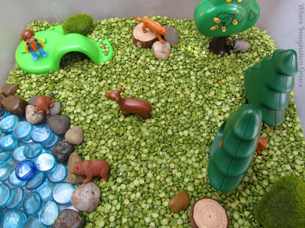 Forest animals sensory bin for kids! Hands-on forest animals sensory box for preschoolers