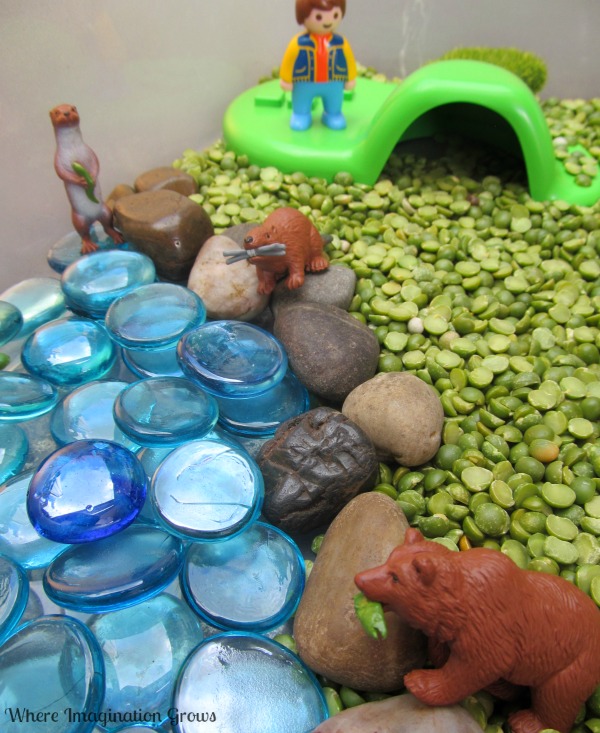 Forest animals sensory bin for kids! Hands-on forest animals sensory box for preschoolers