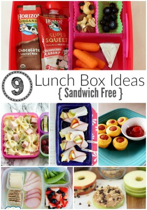 9 Easy Sandwich Free Lunch Box Ideas for Kids - Where Imagination Grows