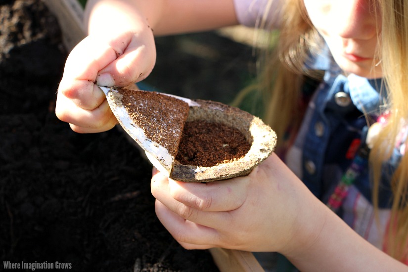 Simple Gardening with kids using Gro-ables! Plus a free garden observation journal printable