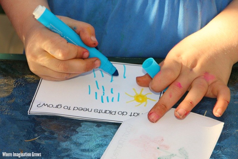 Tips for gardening with preschoolers and free printable garden observation journal for kids!