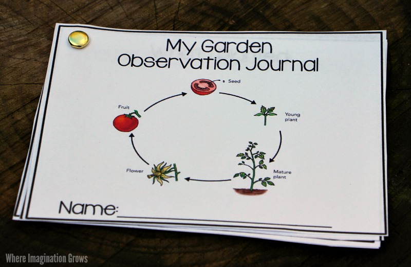 Gardening Ideas for Preschoolers with Free Observation Journal Printable!