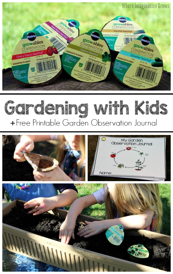 Tips for gardening with kids! Perfect spring activity for preschool aged children. Includes free printable observation journal for kids to record the plant life cycle of their garden! 