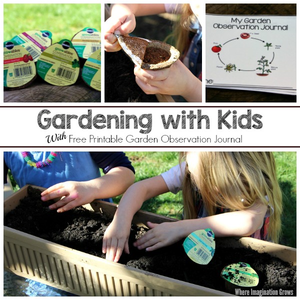 Gardening ideas for preschool aged children. Includes free printable observation journal for kids to record the plant life cycle of their garden!