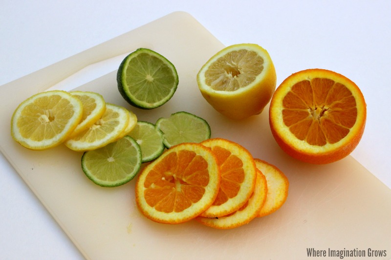 Make a DIY sensory bottle using citrus fruits! A fun nature learning activity for preschoolers