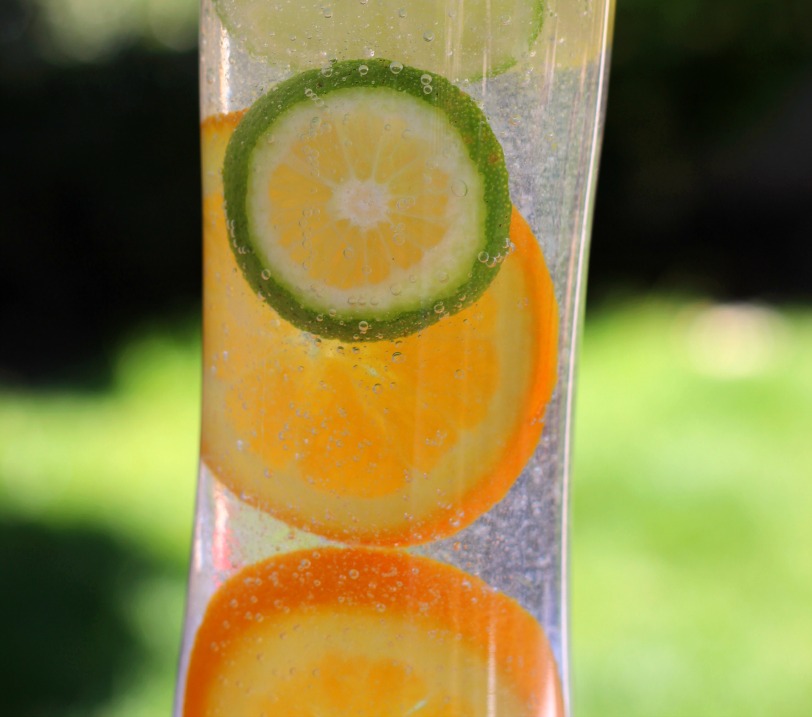Simple DIY nature discovery bottle for kids to learn about and explore citrus fruits! 