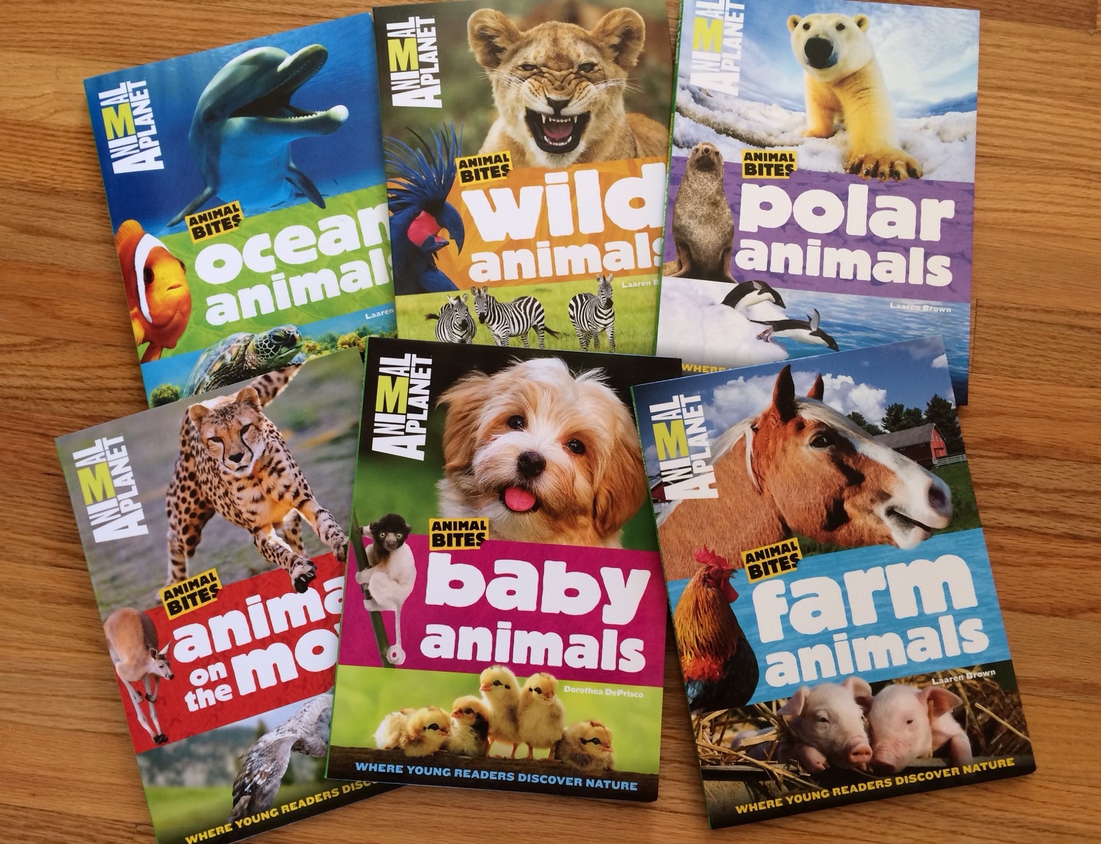 Must Have Nonfiction Animal Books for Kids - Where Imagination Grows