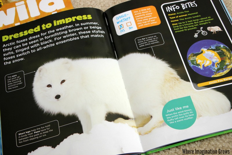 Learn about animals with Animal Planet's Animal Bites! Engaging nonfiction books for preschoolers!