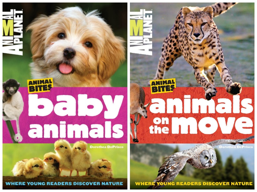 Must Have Nonfiction Animal Books for Kids - Where Imagination Grows
