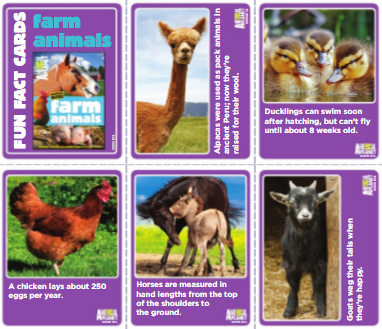 36 Fun Fact Animal Flashcards! Farm, ocean, polar, & wild animals!