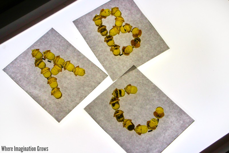 ABC learning on the light table for fall! Acorn letter tracing for preschoolers