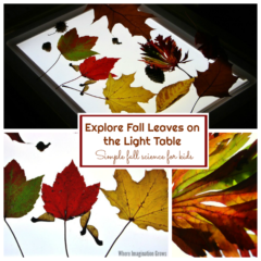 Exploring Fall Leaves on the Light Table - Where Imagination Grows