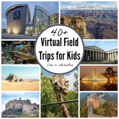 virtual field trips for 2nd graders